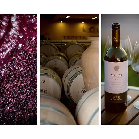 شقة Casale Podernovo Terricciola